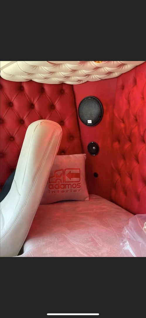 Scania : sono vintage, sellerie et autoradio Kenwood DNX5190DABS