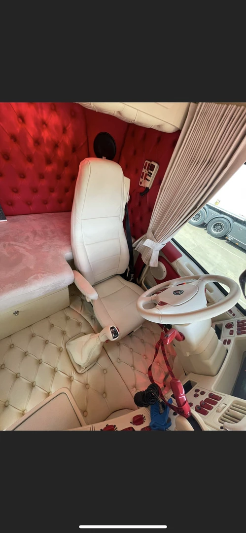 Scania : sono vintage, sellerie et autoradio Kenwood DNX5190DABS