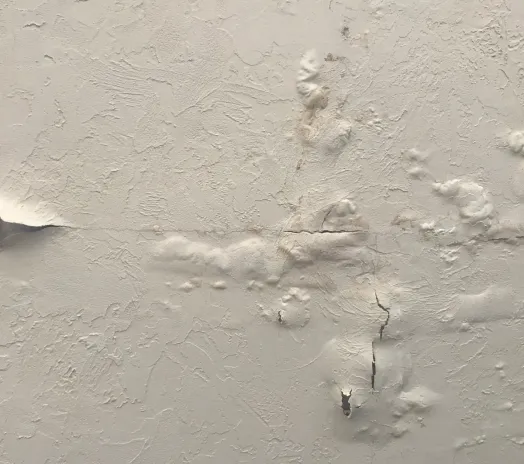 Réfection des peintures après sinistre (dégâts des eaux, fissures)